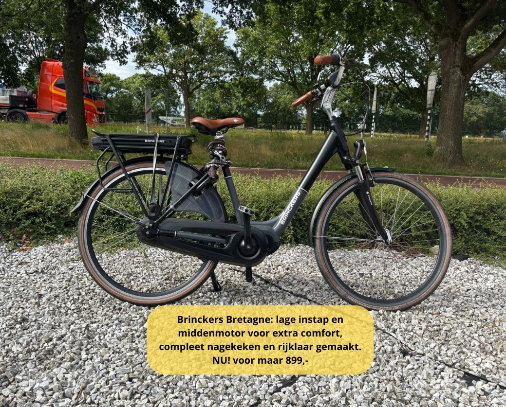 Elektrische fiets damesfiets herenfiets middenmotor