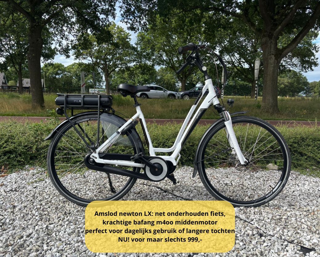 Elektrische fiets damesfiets herenfiets middenmotor