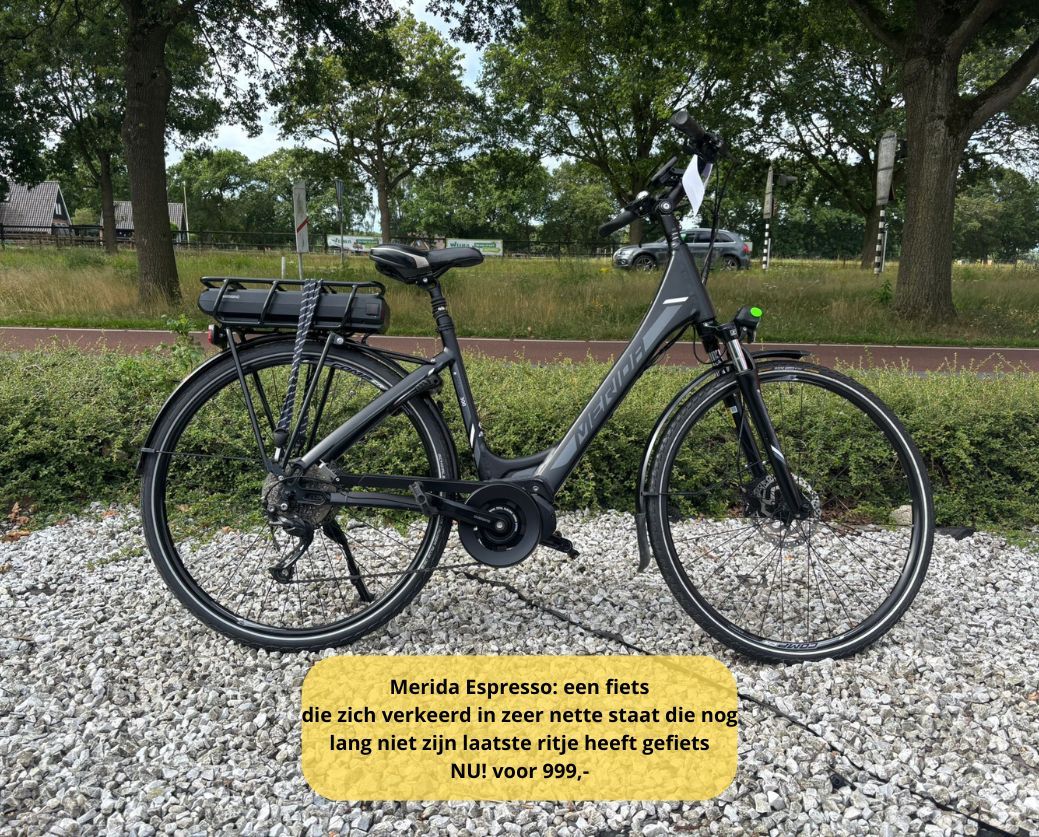 Elektrische fiets damesfiets herenfiets middenmotor