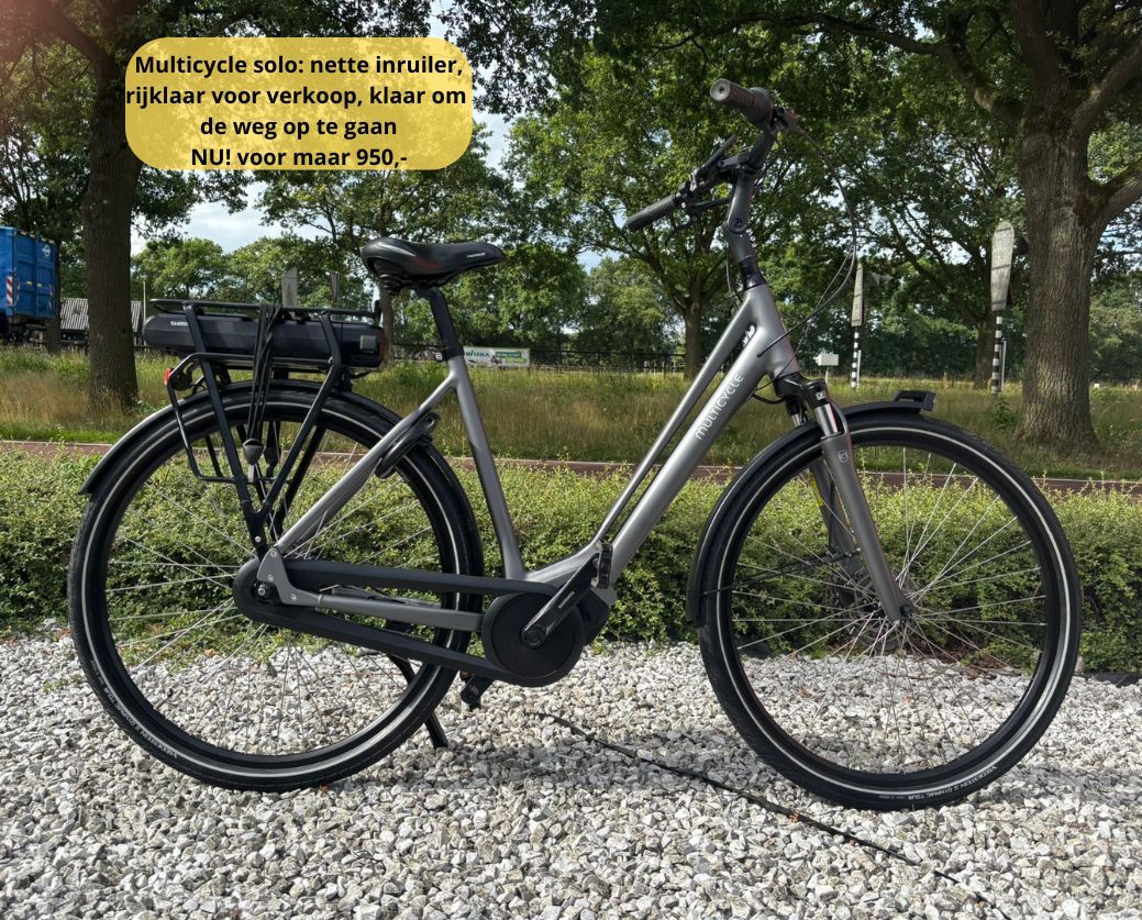 Elektrische fiets damesfiets herenfiets middenmotor