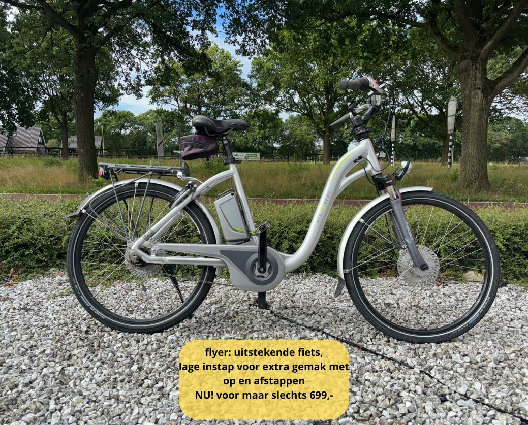 Elektrische fiets damesfiets herenfiets middenmotor