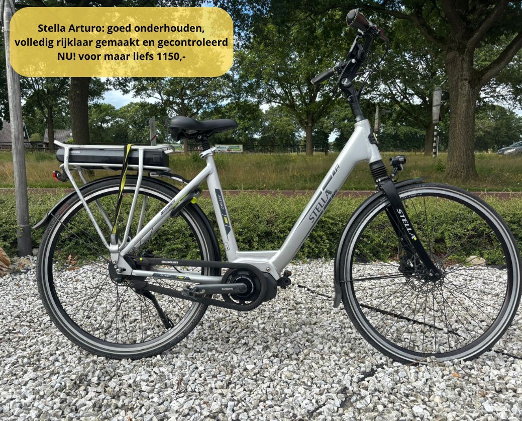 Elektrische fiets damesfiets herenfiets middenmotor
