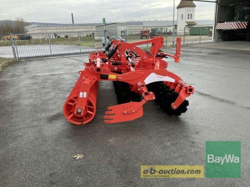 Maschio VELOCE 500