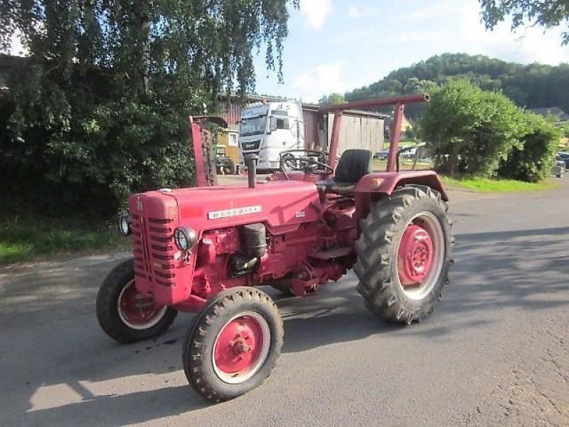 IHC 436