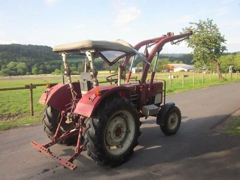 IHC 533