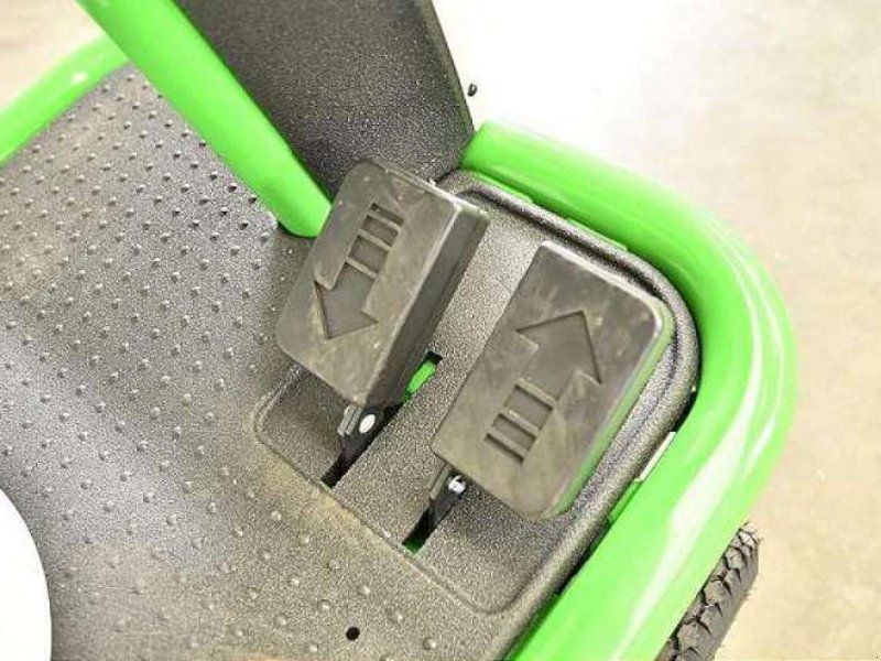 Etesia BAHIA