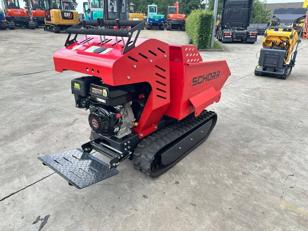 Tracked Dumper with Tipping Bucket Schorr RR500 Petrol 2025 New