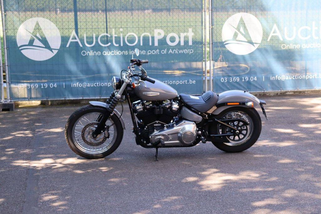 Motorcycle Harley Davidson Softail Standard Petrol 2022 (Margin)