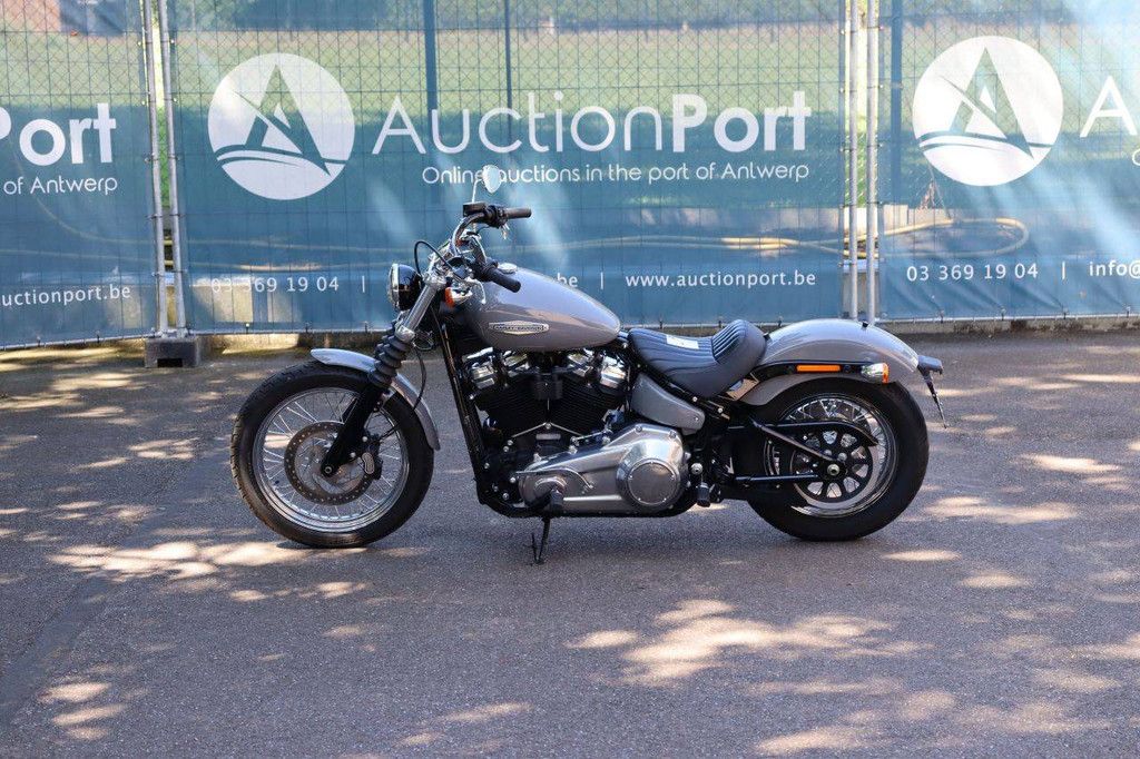 Motorcycle Harley Davidson Softail Standard Petrol 2022 (Margin)