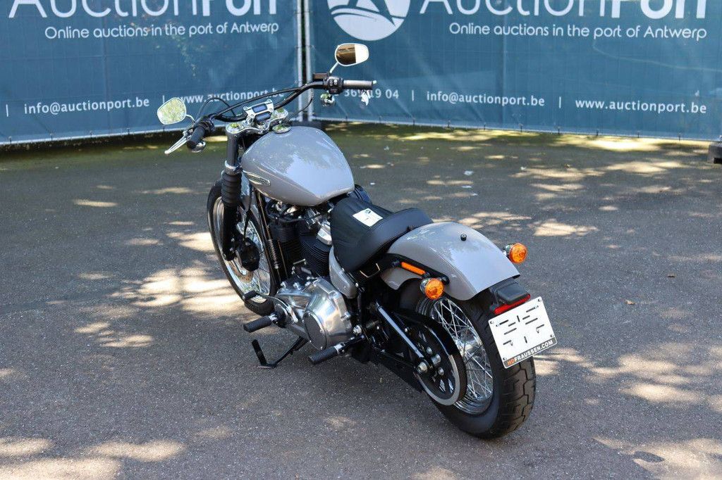 Motorcycle Harley Davidson Softail Standard Petrol 2022 (Margin)