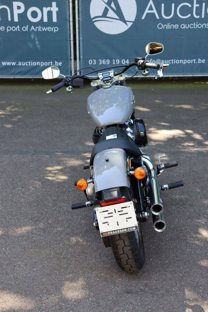 Motorcycle Harley Davidson Softail Standard Petrol 2022 (Margin)