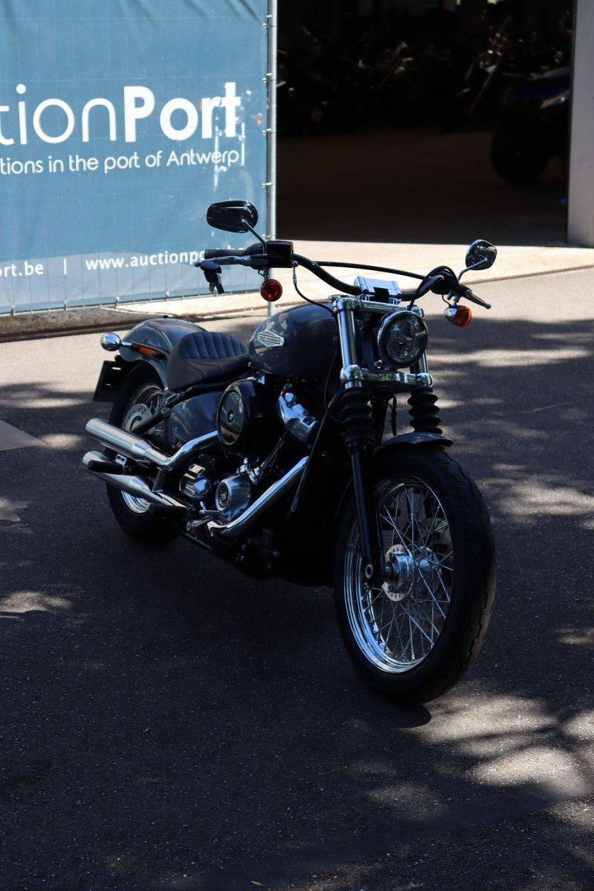 Motorcycle Harley Davidson Softail Standard Petrol 2022 (Margin)
