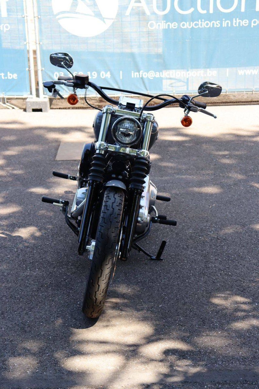 Motorcycle Harley Davidson Softail Standard Petrol 2022 (Margin)