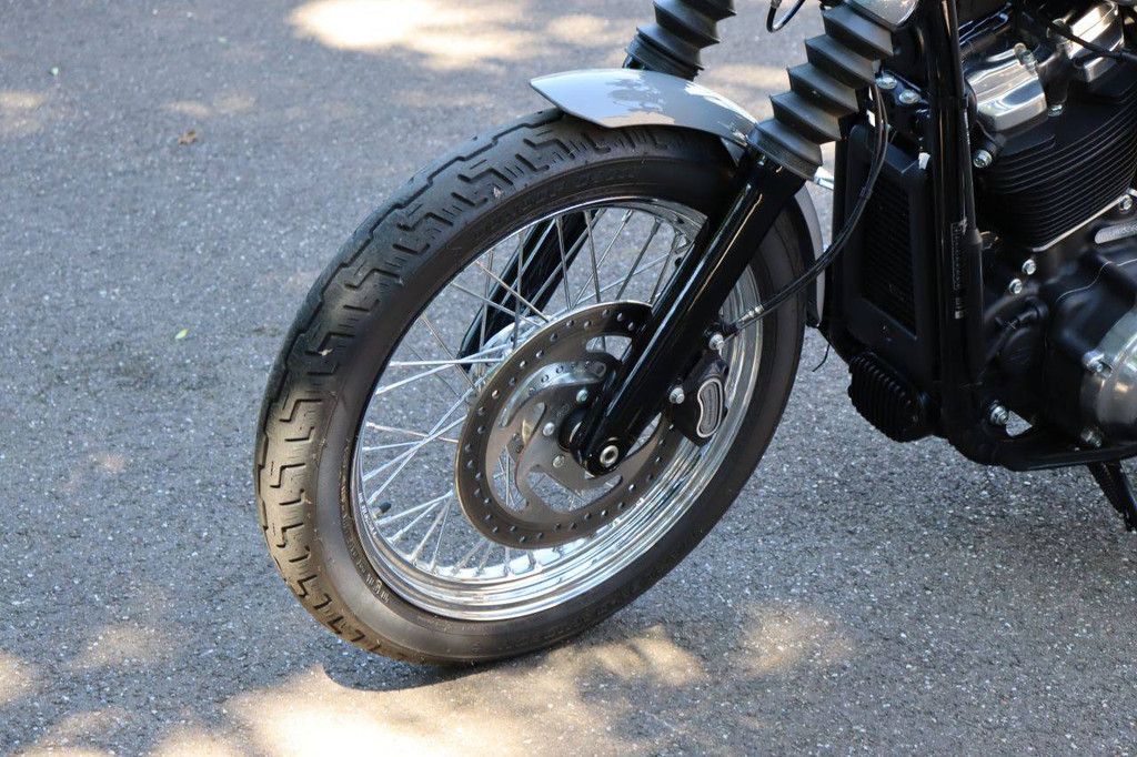 Motorcycle Harley Davidson Softail Standard Petrol 2022 (Margin)