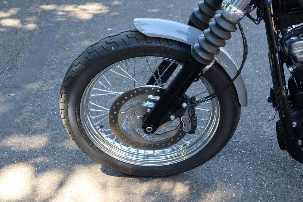 Motorcycle Harley Davidson Softail Standard Petrol 2022 (Margin)