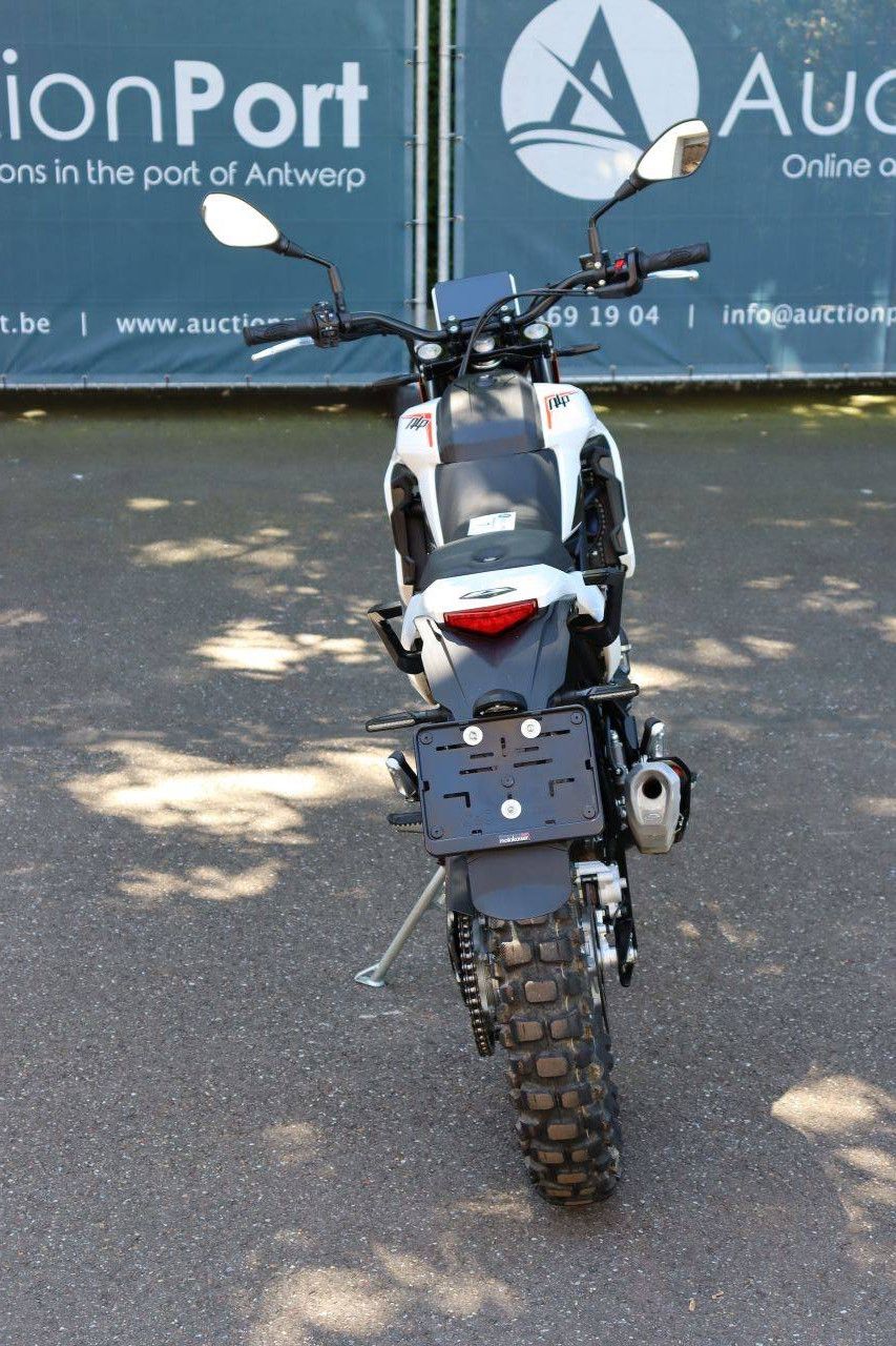 Beta ALP4 350 cm³ Benzinmotor 2025 (Marge)
