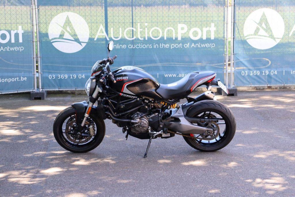 Ducati Monster 821 Petrol 2020 Motorcycle (Margin)