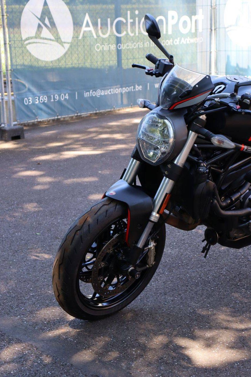 Ducati Monster 821 Petrol 2020 Motorcycle (Margin)