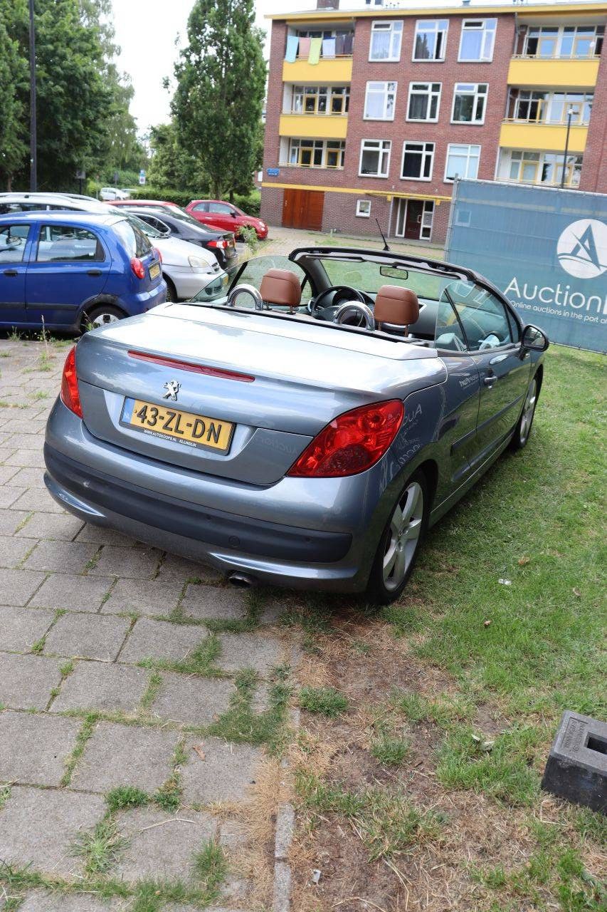 Passenger car Peugeot 207 Petrol 150hp 2008