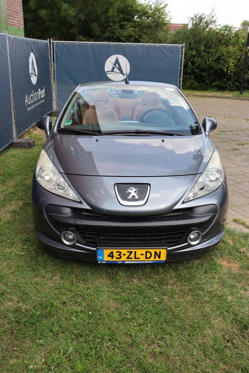 Passenger car Peugeot 207 Petrol 150hp 2008