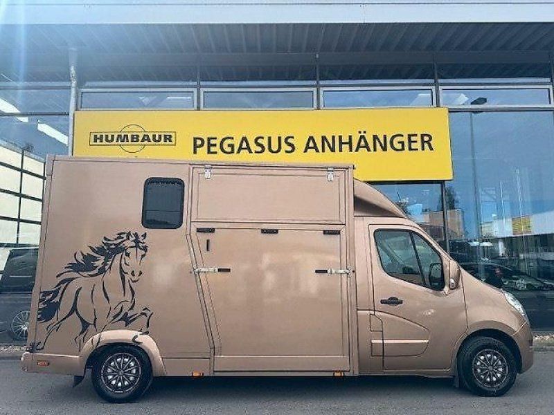 Renault Master 2 Pferdeer Hengstwand Automatik AHK 3,5t