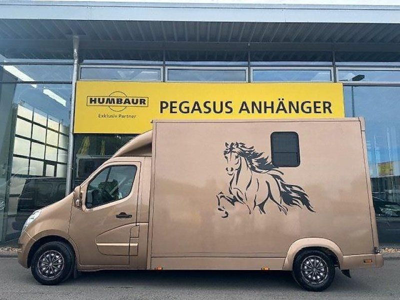 Renault Master 2 Pferdeer Hengstwand Automatik AHK 3,5t