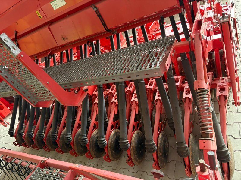 Maschio Rapido + Dama