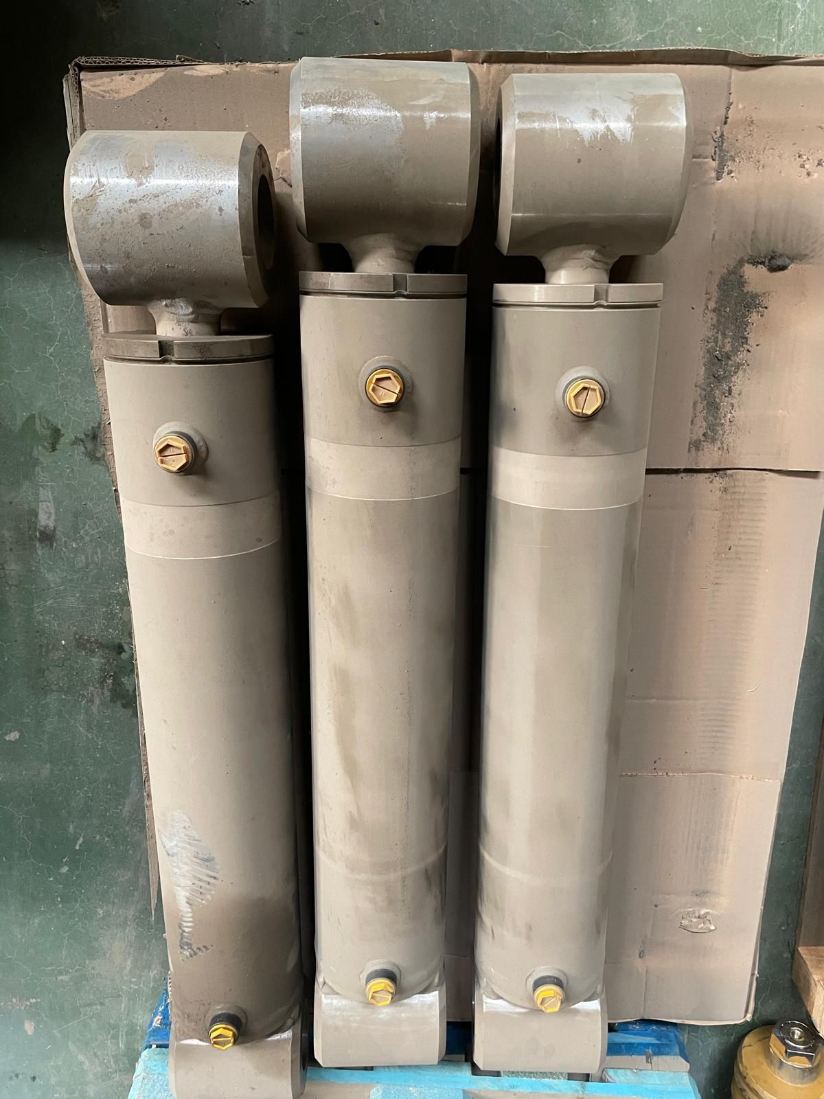 Dubbelwerkende hydraulische cilinders met ventielblok