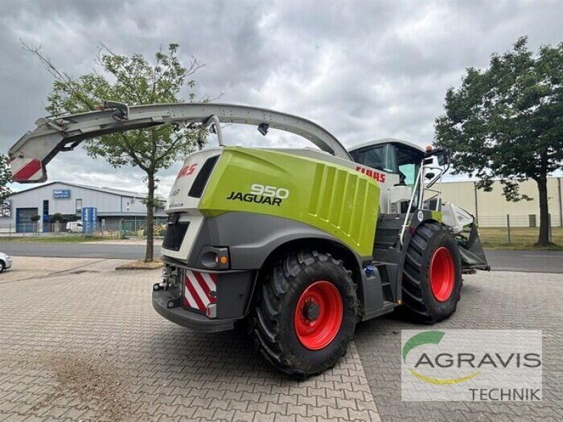 Claas JAGUAR 950 + Orbis 750 + PU 300