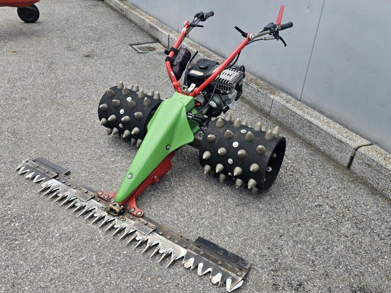 Rapid Motormäher Rex