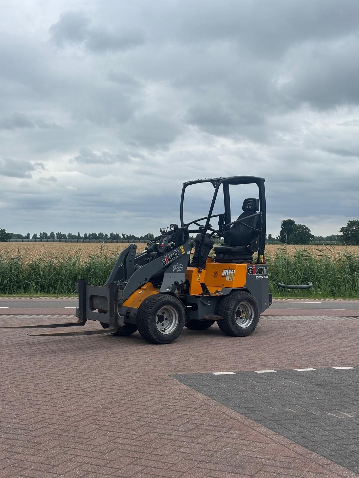 Giant D254 SW | Hydraulische wissel | Kenteken