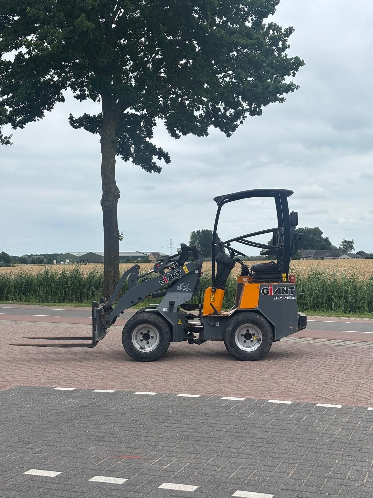 Giant D254 SW | Hydraulische wissel | Kenteken