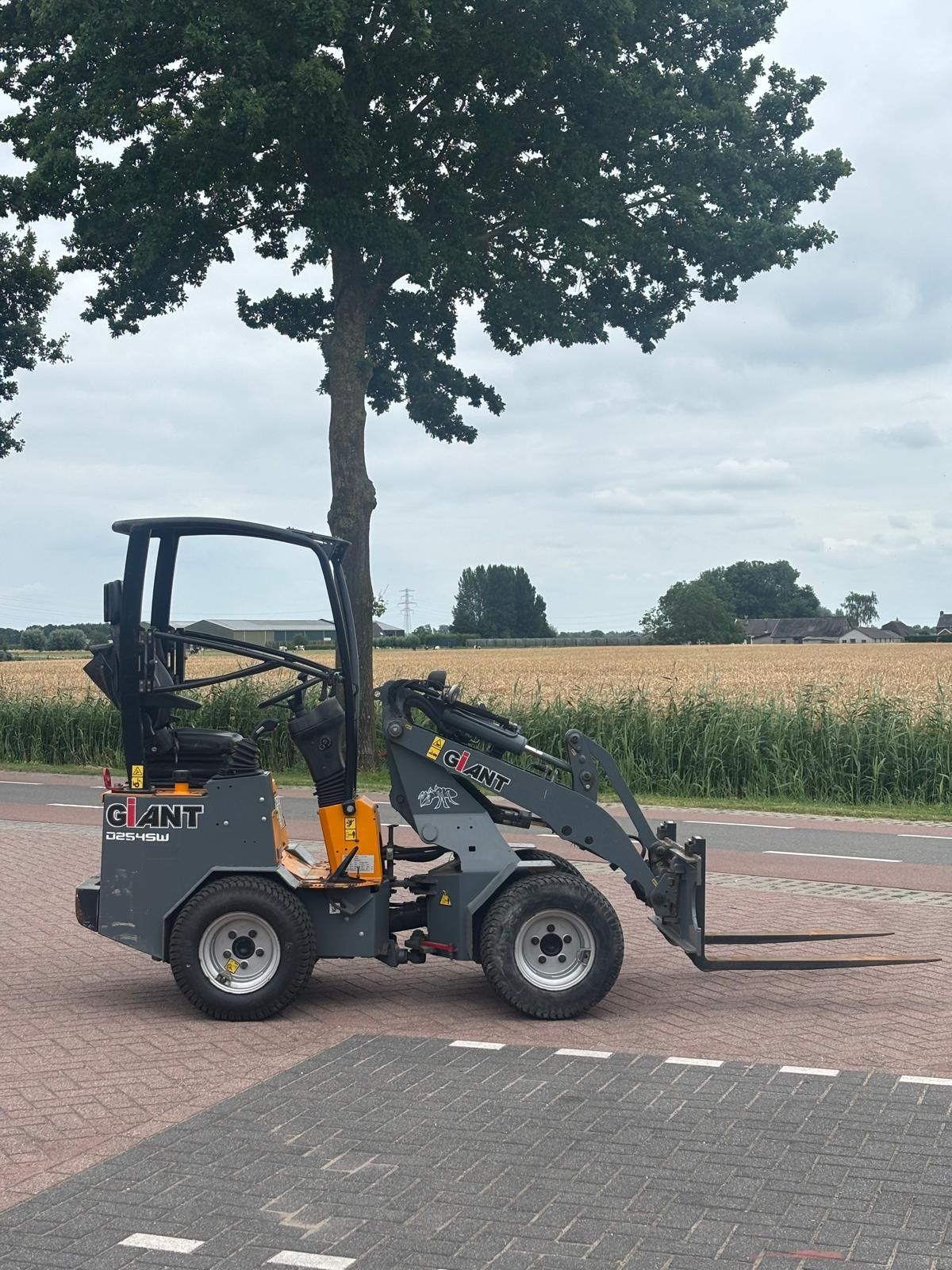 Giant D254 SW | Hydraulische wissel | Kenteken