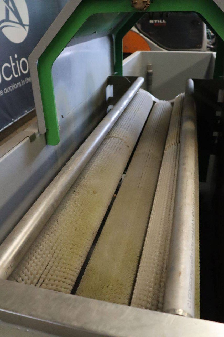 Kürbiswaschanlage MCR Machinery Electric 0,75 kW