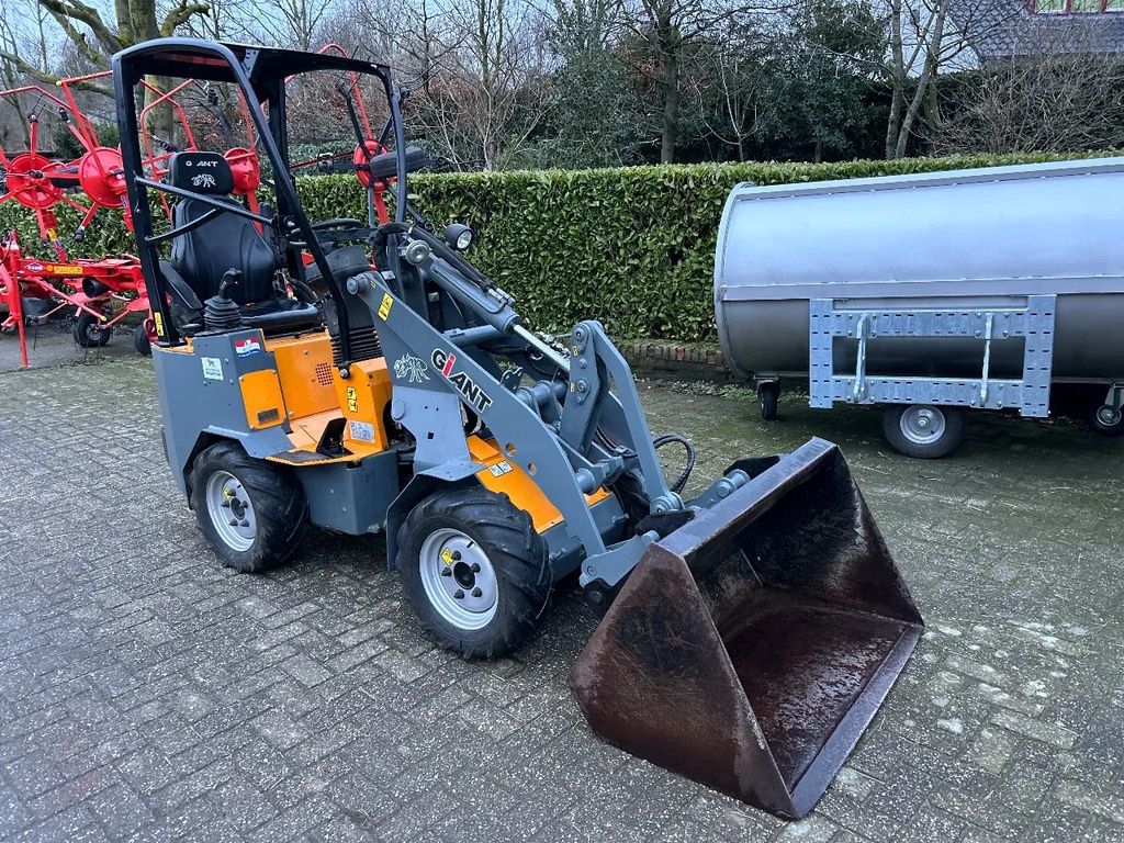 Giant D254SW