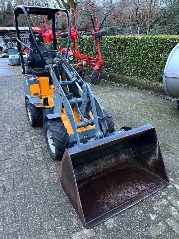 Giant D254SW