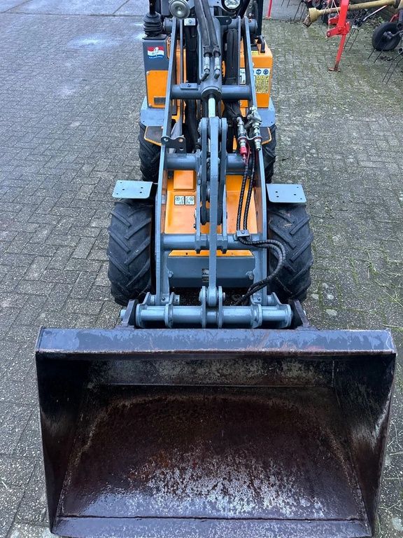 Giant D254SW
