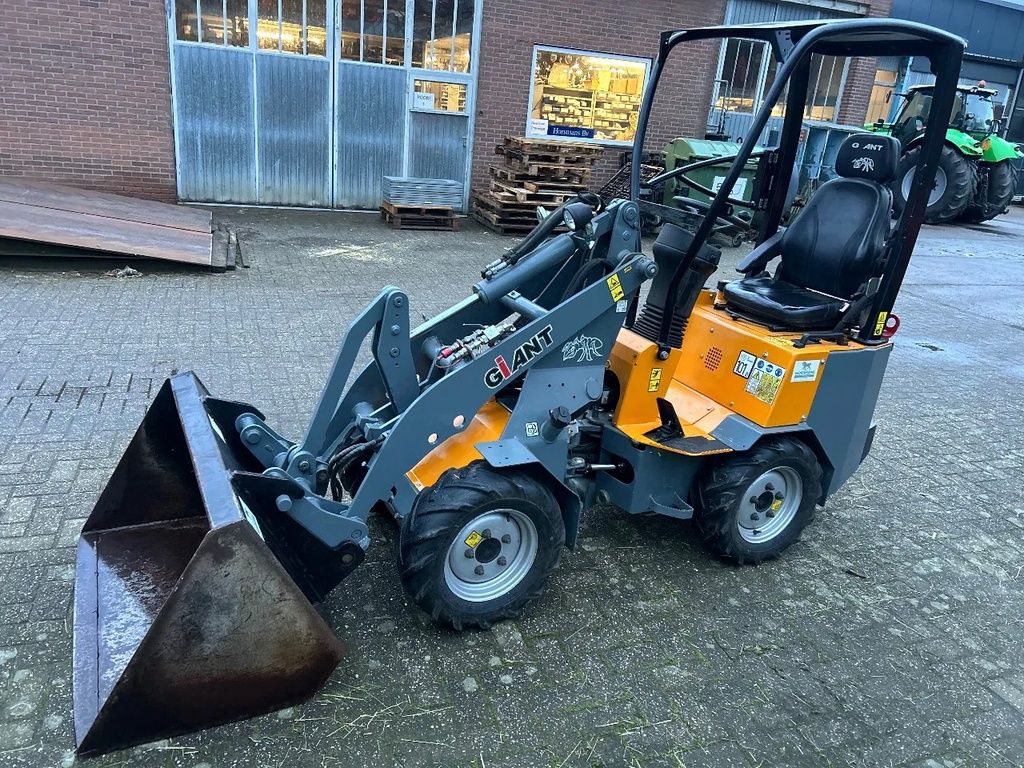 Giant D254SW