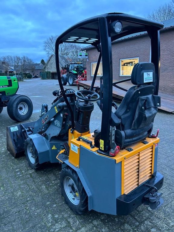 Giant D254SW