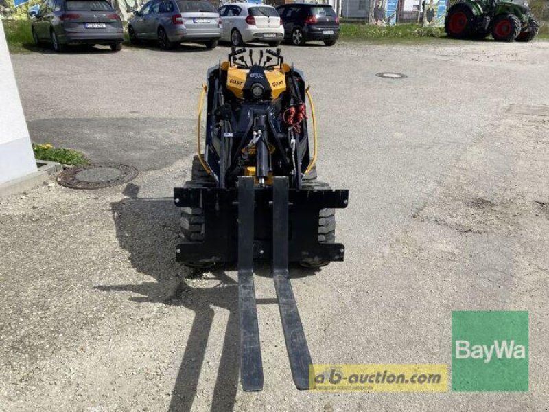Giant GS900