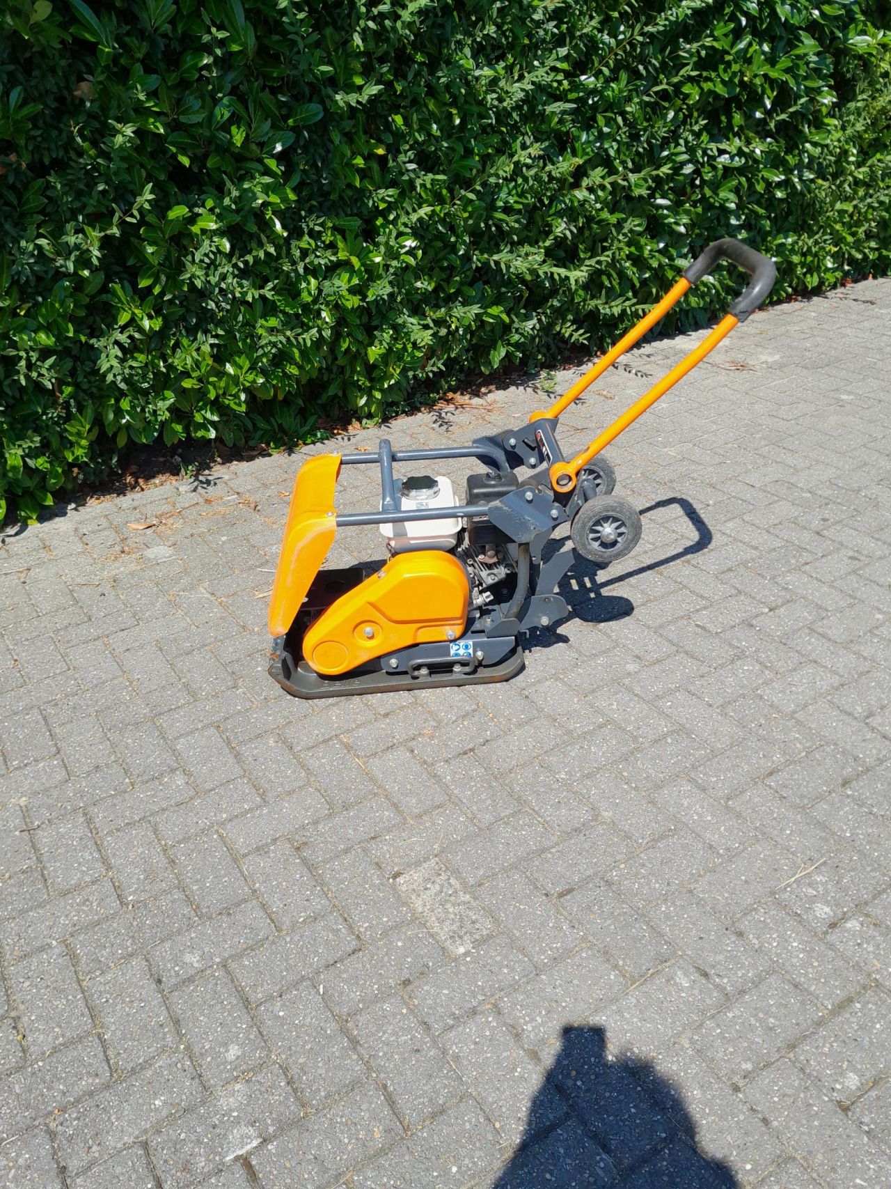 Trilplaat