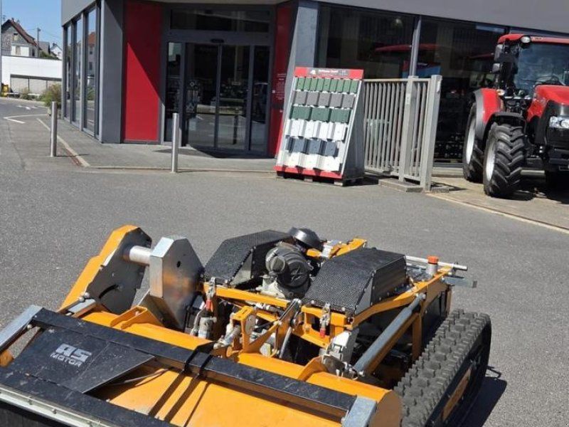 AS Motor AS1000 OVIS EVO RC
