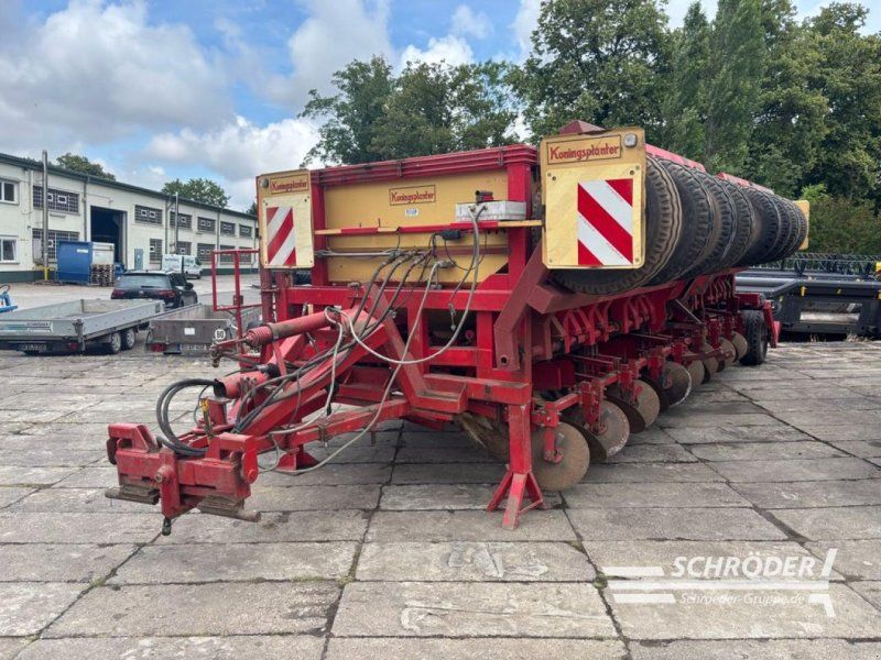 KONINGSPLANTER 8 REIHIG