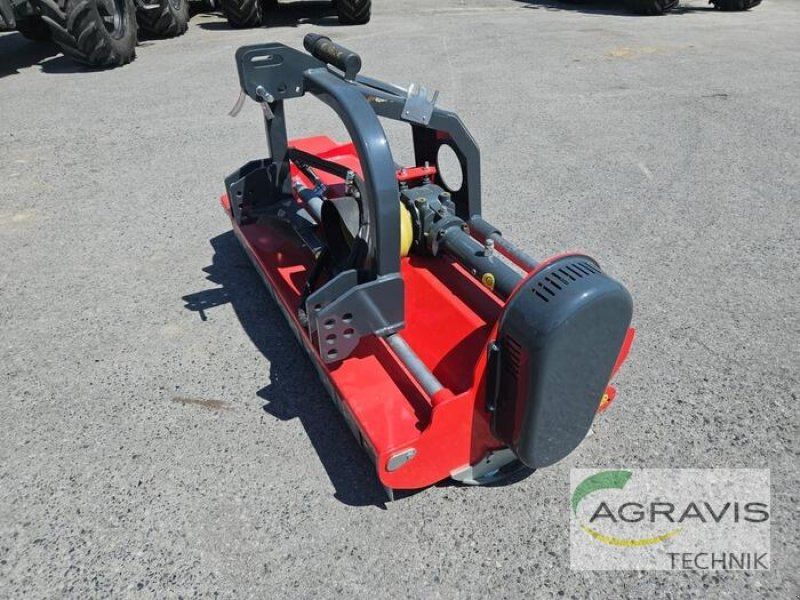 DRAGONE VL 175
