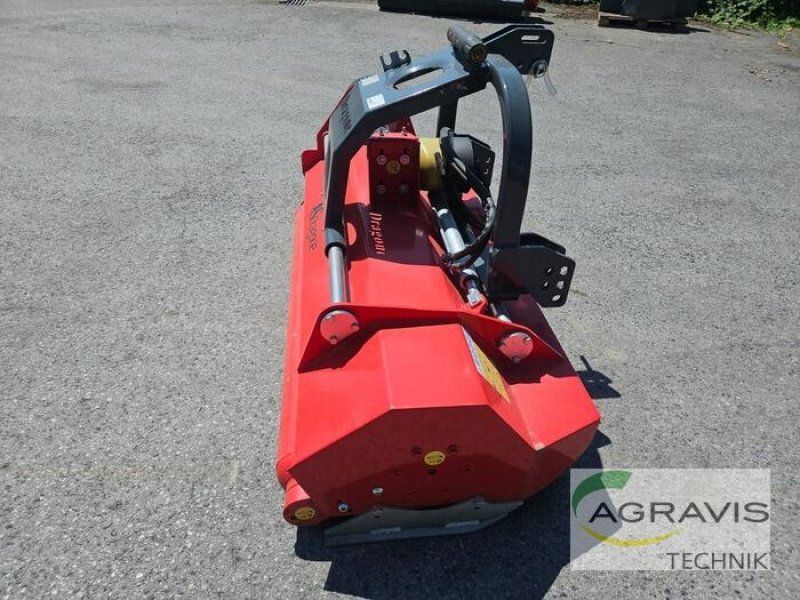 DRAGONE VL 175