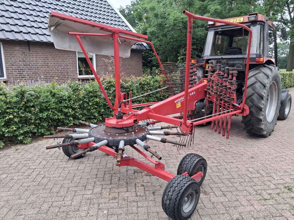 Lely Hibiscus 485 s hark