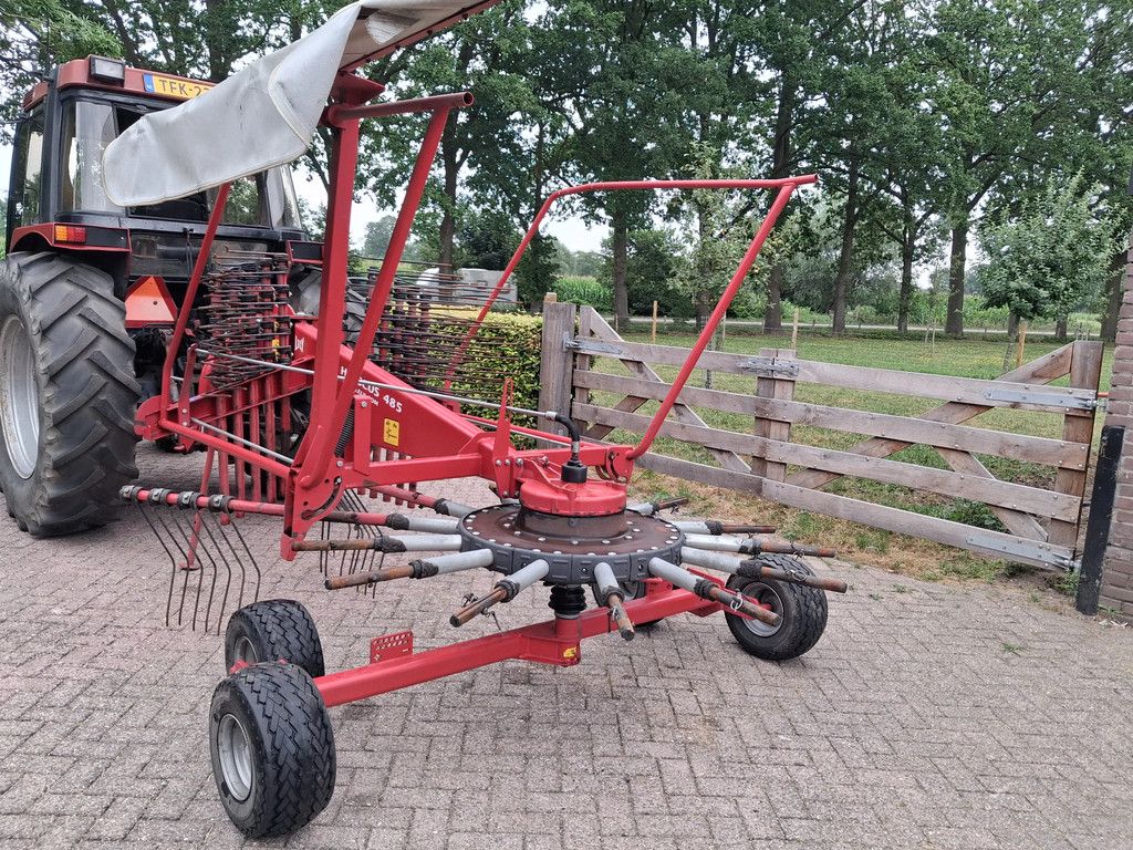 Lely Hibiscus 485 s hark