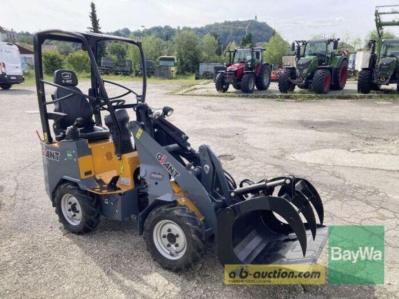 Giant G1100