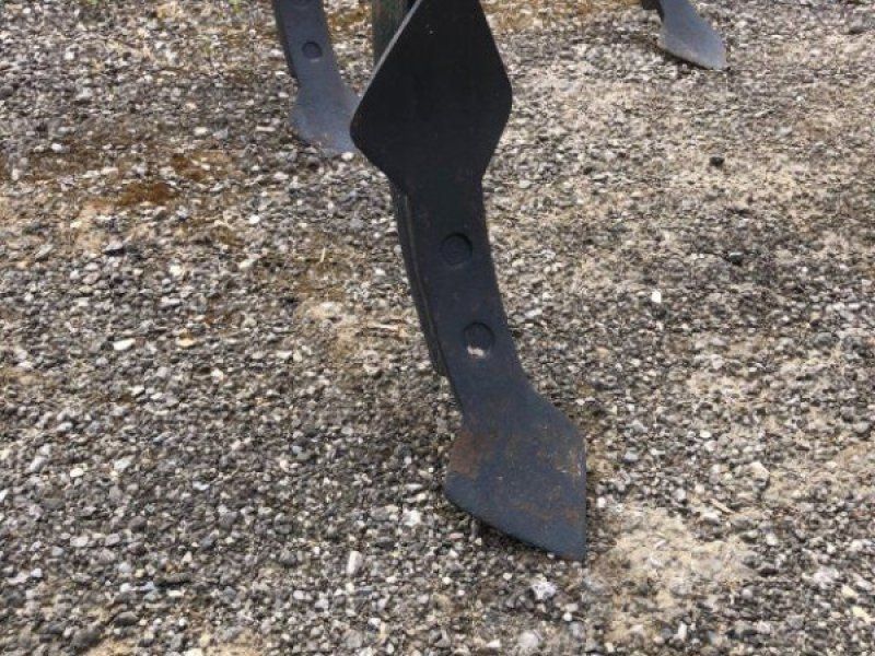 Vogel & Noot mit Stabwalze