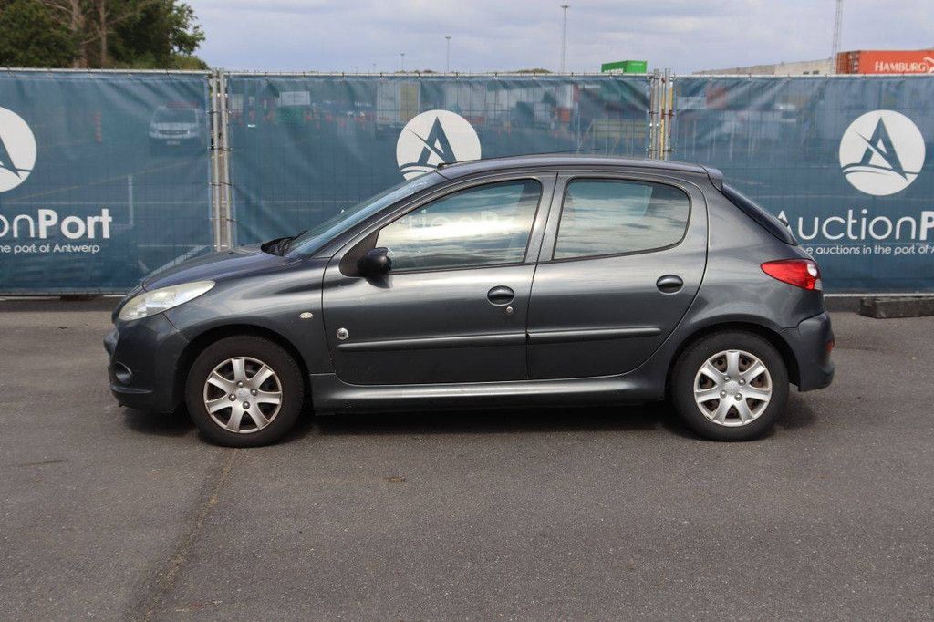 Passenger car Peugeot 206 Petrol 73hp 2012 (Margin)